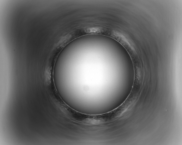 X0000098080545200804110944