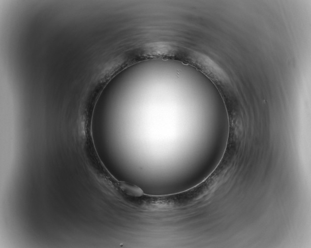 X0000098080546200804110944