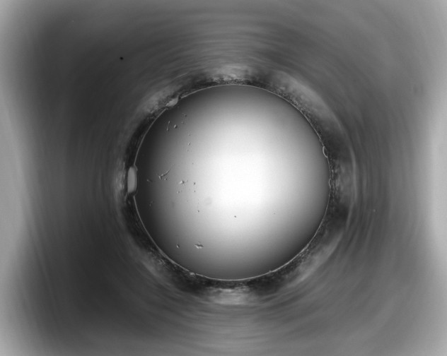 X0000098080548200804110944