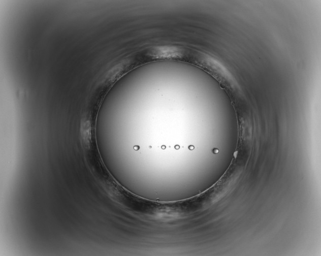 X0000098080549200804110944