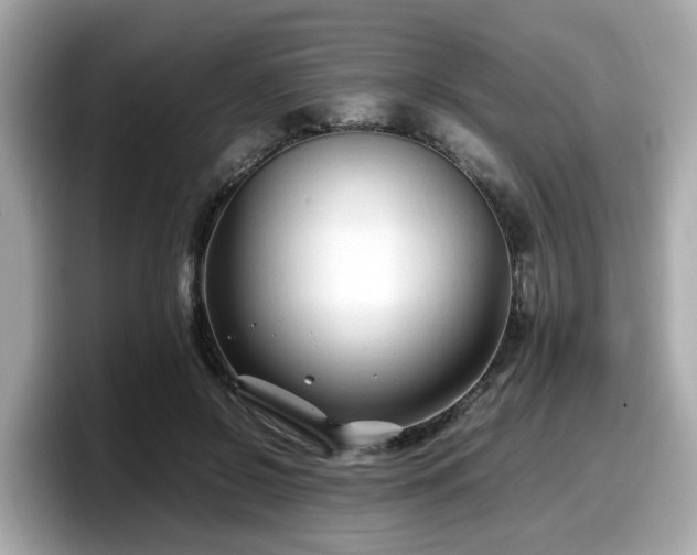 X0000098080550200804110945