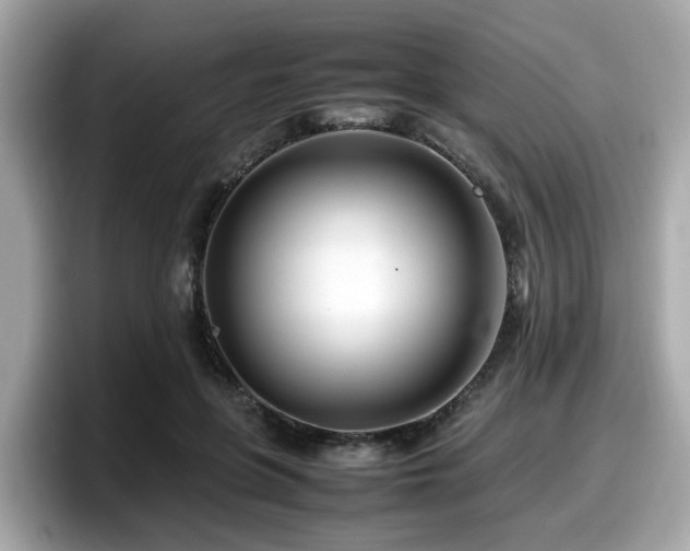 X0000098080551200804110945