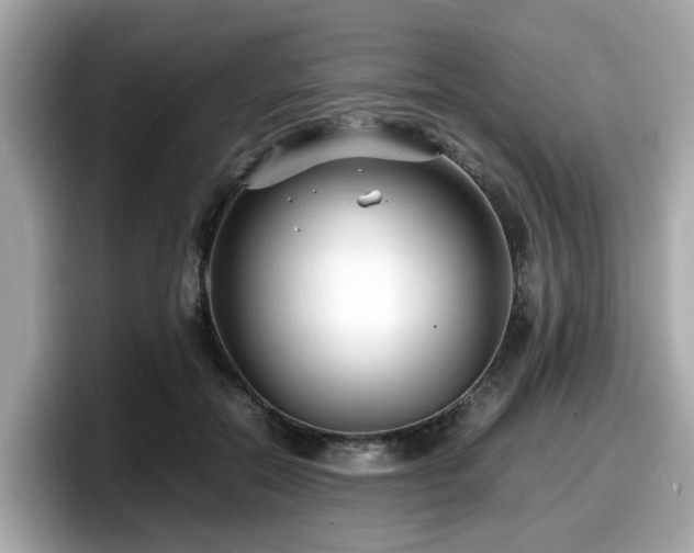 X0000098080554200804110945
