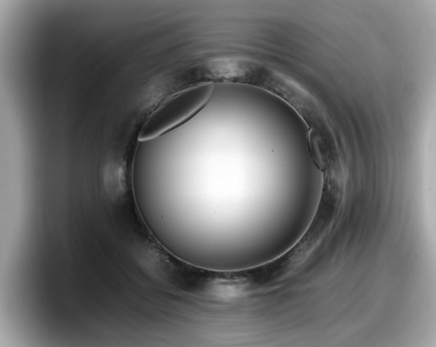 X0000098080556200804110945