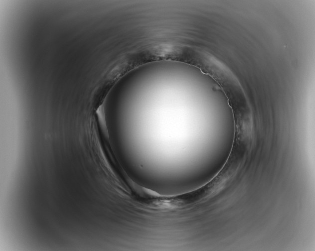 X0000098080558200804110945