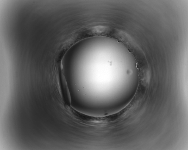 X0000098080563200804110945
