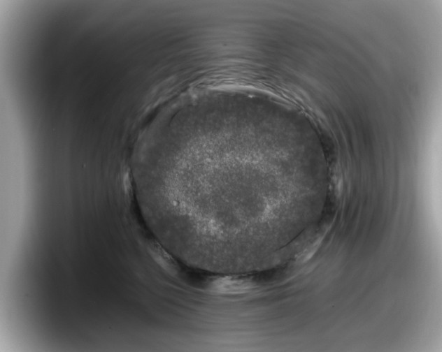 X0000098080568200804110945