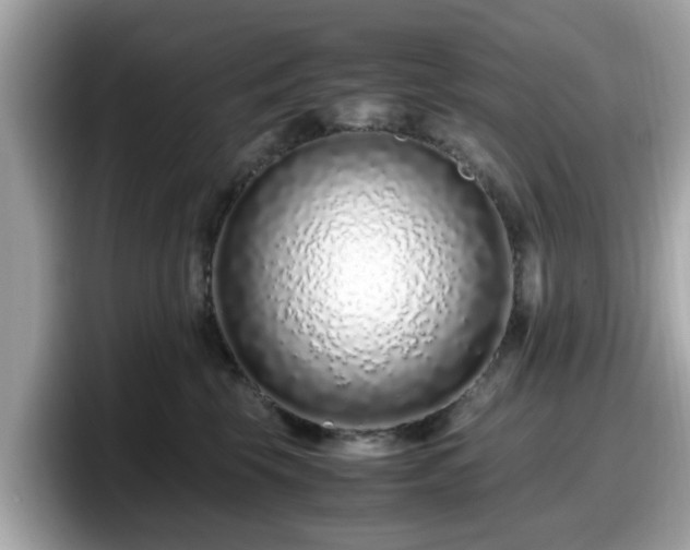 X0000098080569200804110945