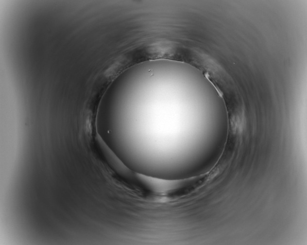 X0000098080570200804110945