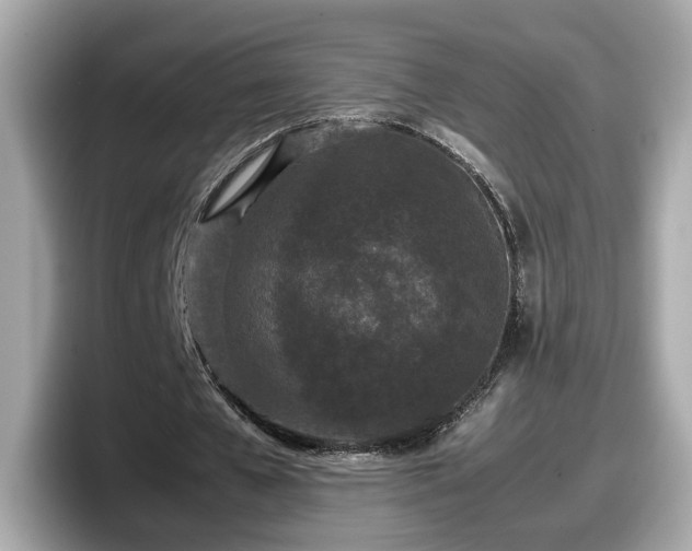 X0000098080577200804110944
