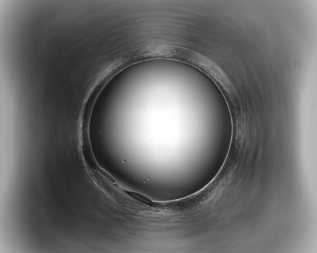 X0000098080578200804110944