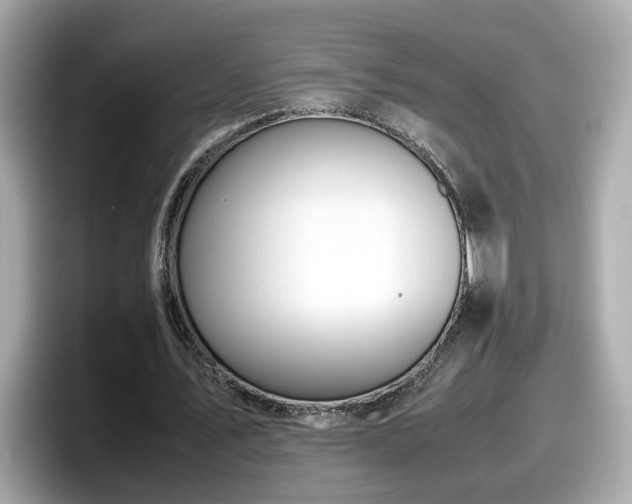X0000098080579200804110944
