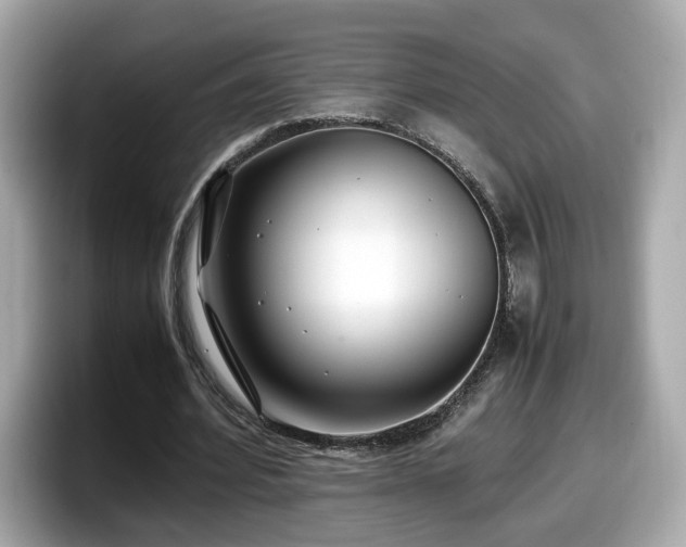 X0000098080580200804110944
