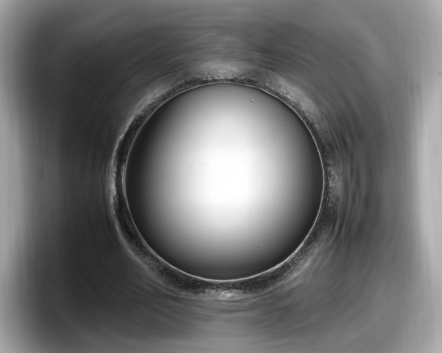 X0000098080582200804110944