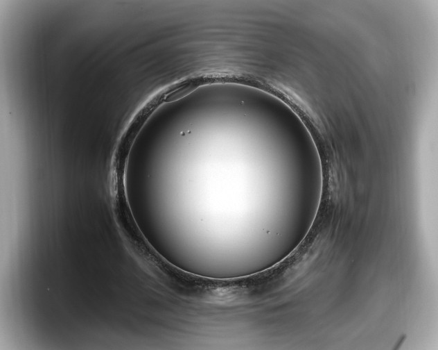 X0000098080584200804110944
