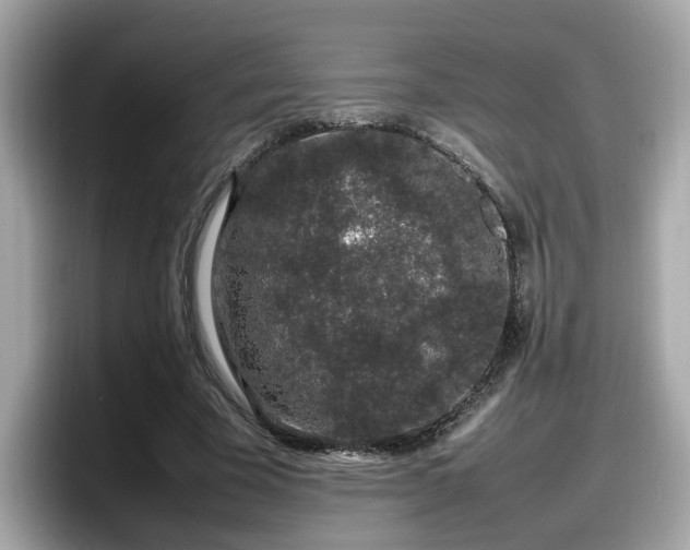 X0000098080585200804110944