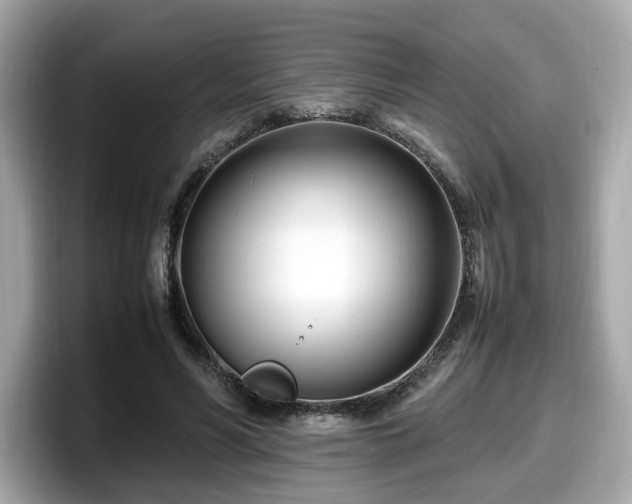 X0000098080590200804110944