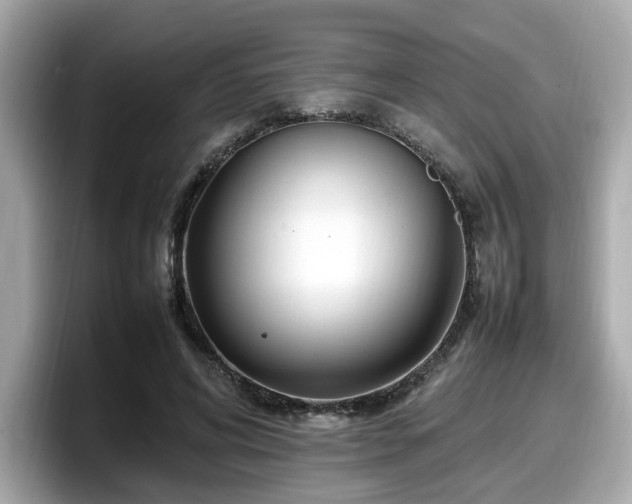X0000098080592200804110944