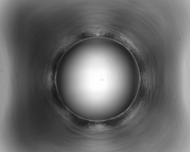 X0000098080594200804110944