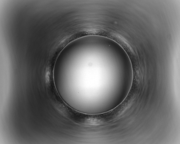 X0000098080596200804110944
