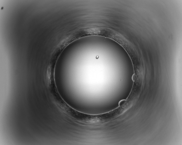 X0000098080600200804110944