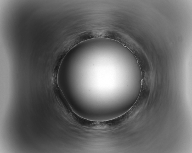X0000098080601200804110944