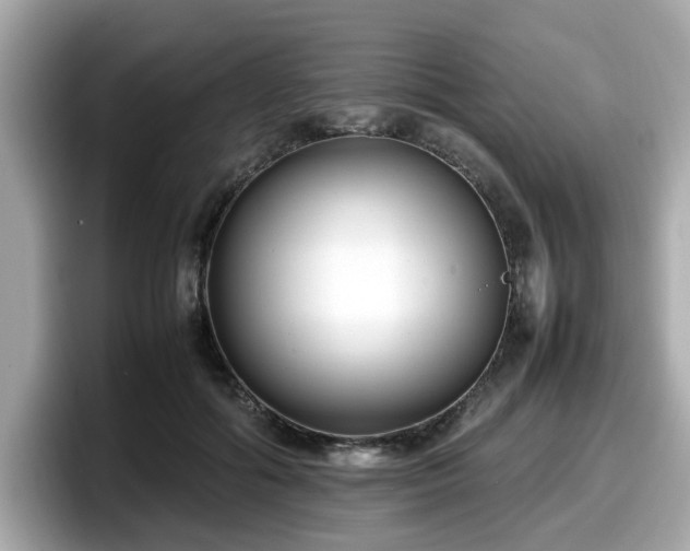 X0000098080602200804110944