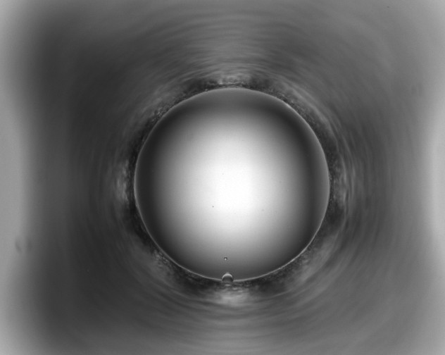 X0000098080604200804110944