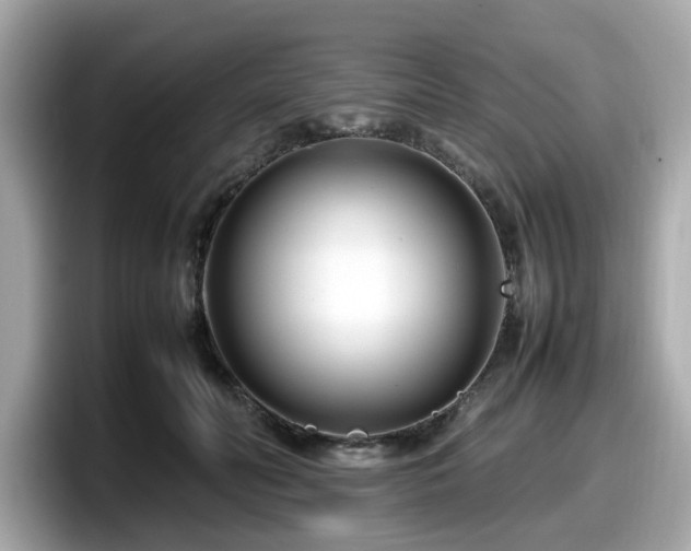 X0000098080606200804110944