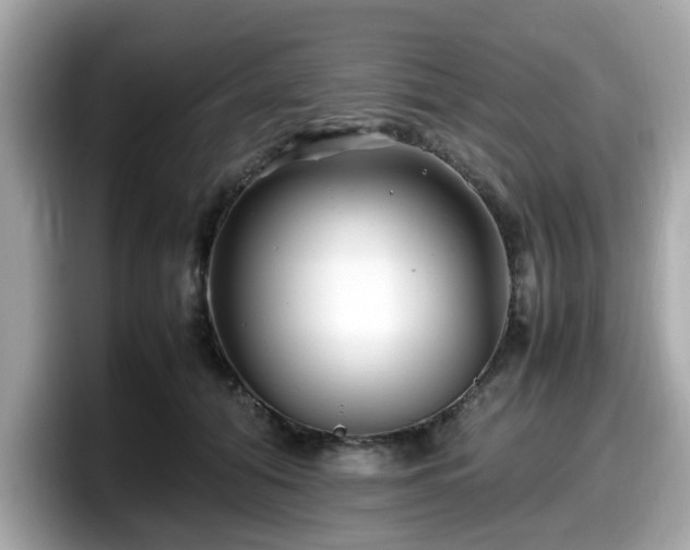 X0000098080608200804110944