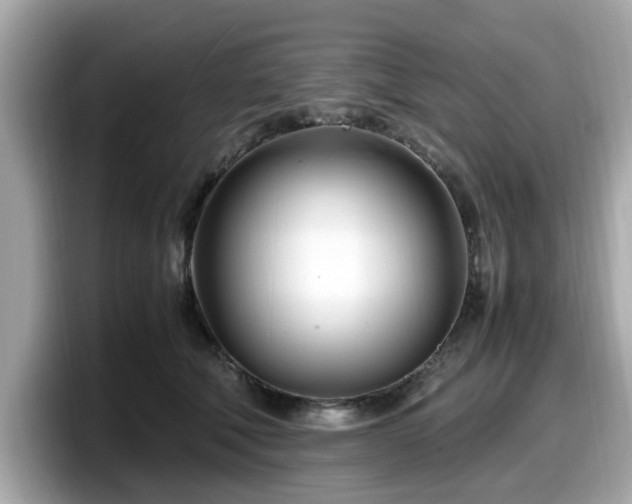 X0000098080610200804110944