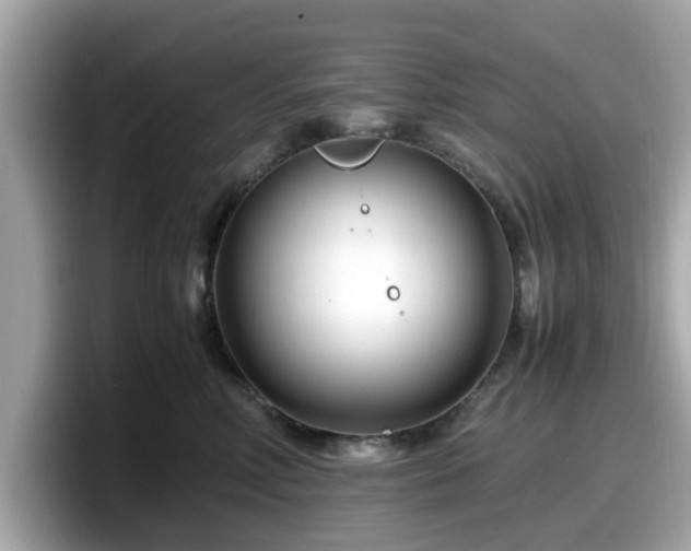 X0000098080618200804110944