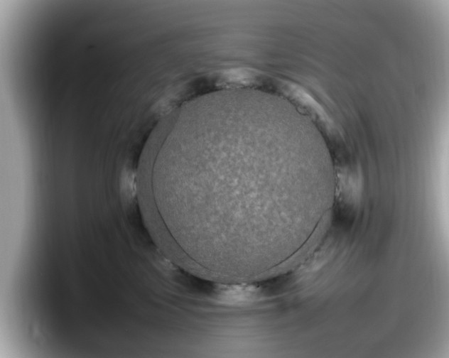 X0000098080621200804110944