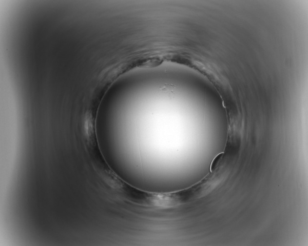 X0000098080623200804110944