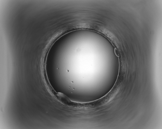 X0000098080625200804110943