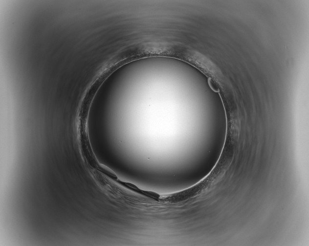 X0000098080626200804110943