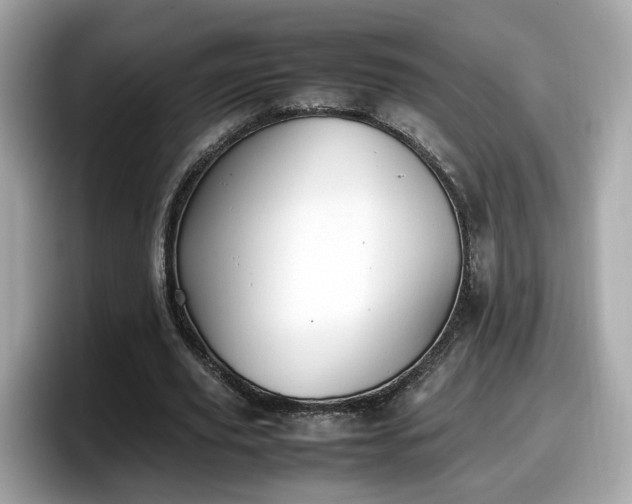 X0000098080629200804110943