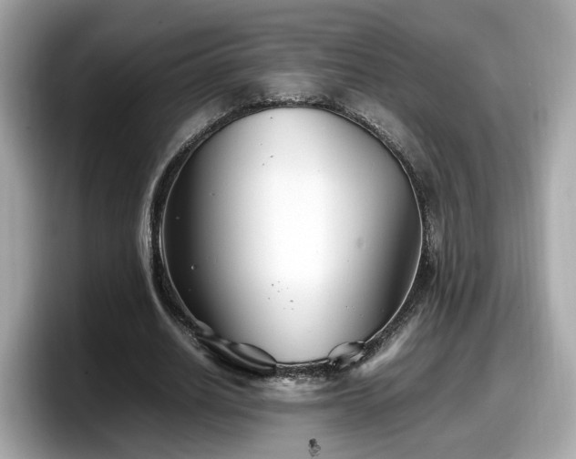 X0000098080630200804110943