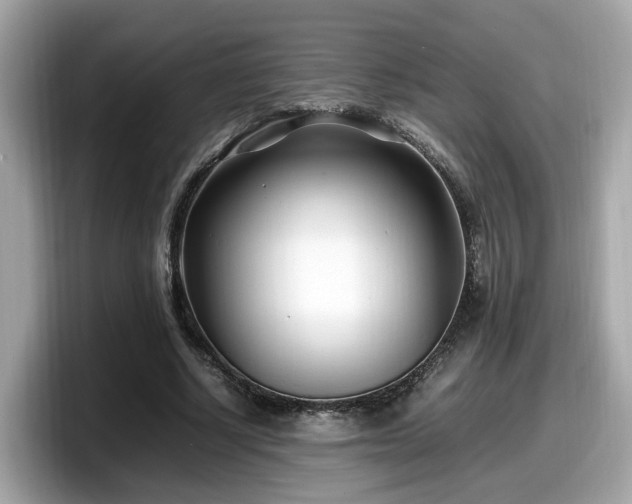 X0000098080634200804110943