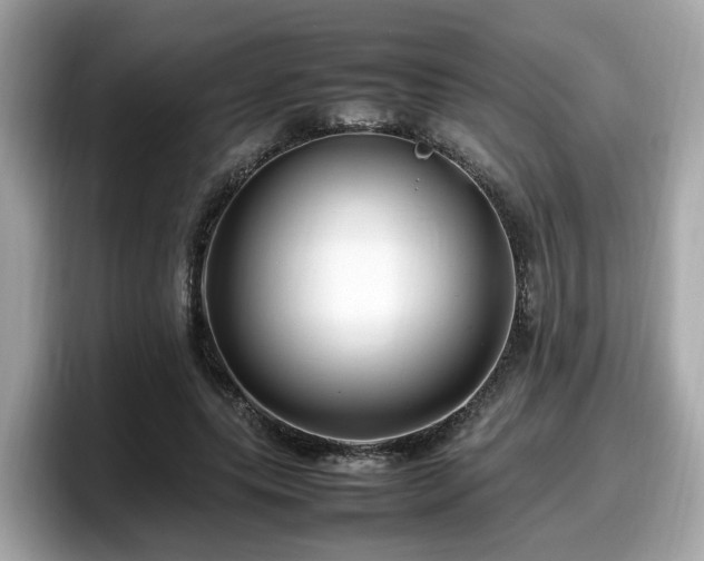 X0000098080639200804110943