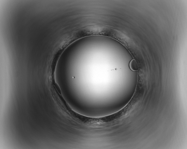X0000098080642200804110943