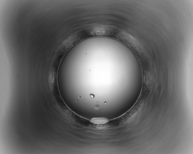 X0000098080645200804110943