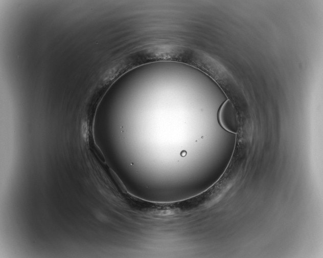 X0000098080646200804110943
