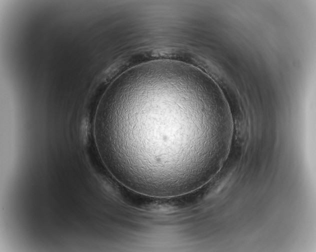 X0000098080648200804110943