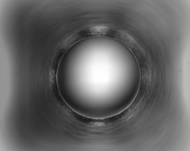 X0000098080649200804110943