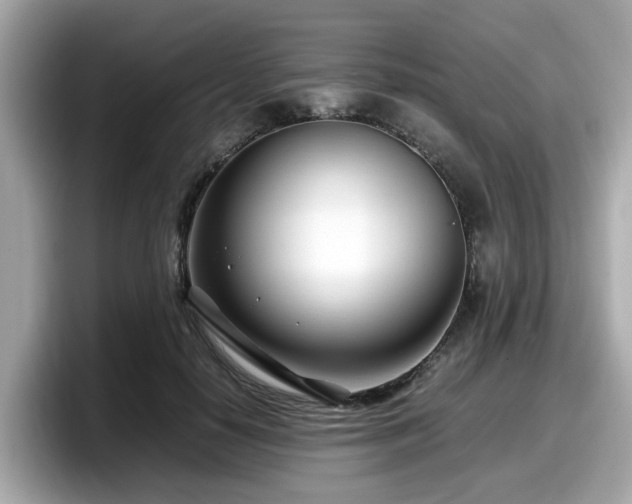 X0000098080650200804110943