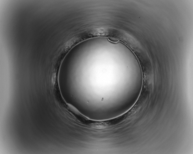 X0000098080652200804110943