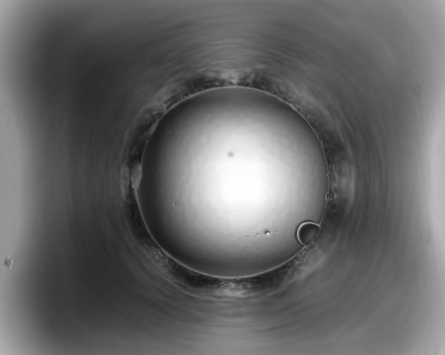 X0000098080656200804110943