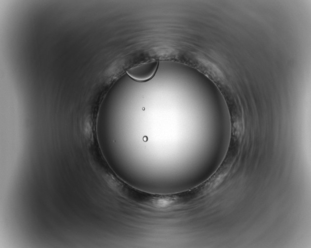 X0000098080662200804110943