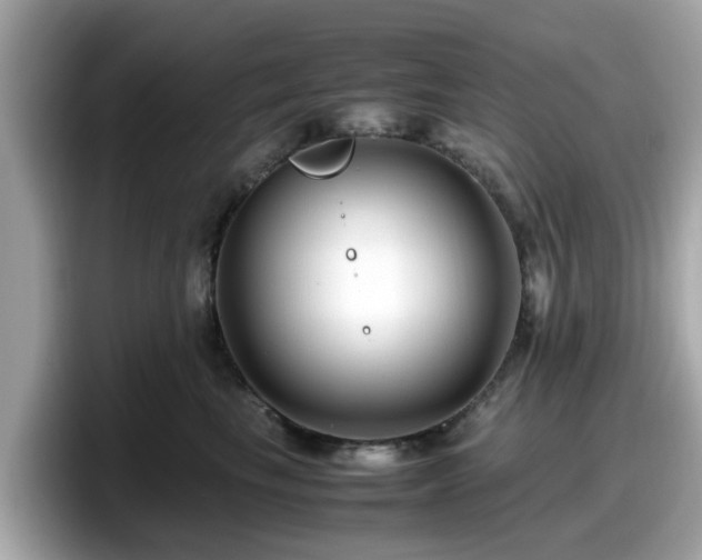 X0000098080665200804110944